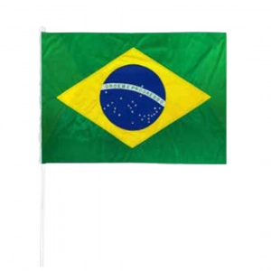 Bandeira do Brasil 40x60cm Neotrentina